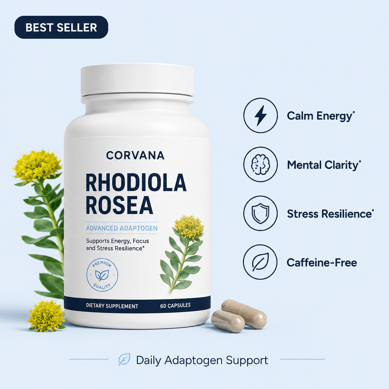 Corvana™ Rhodiola Rosea