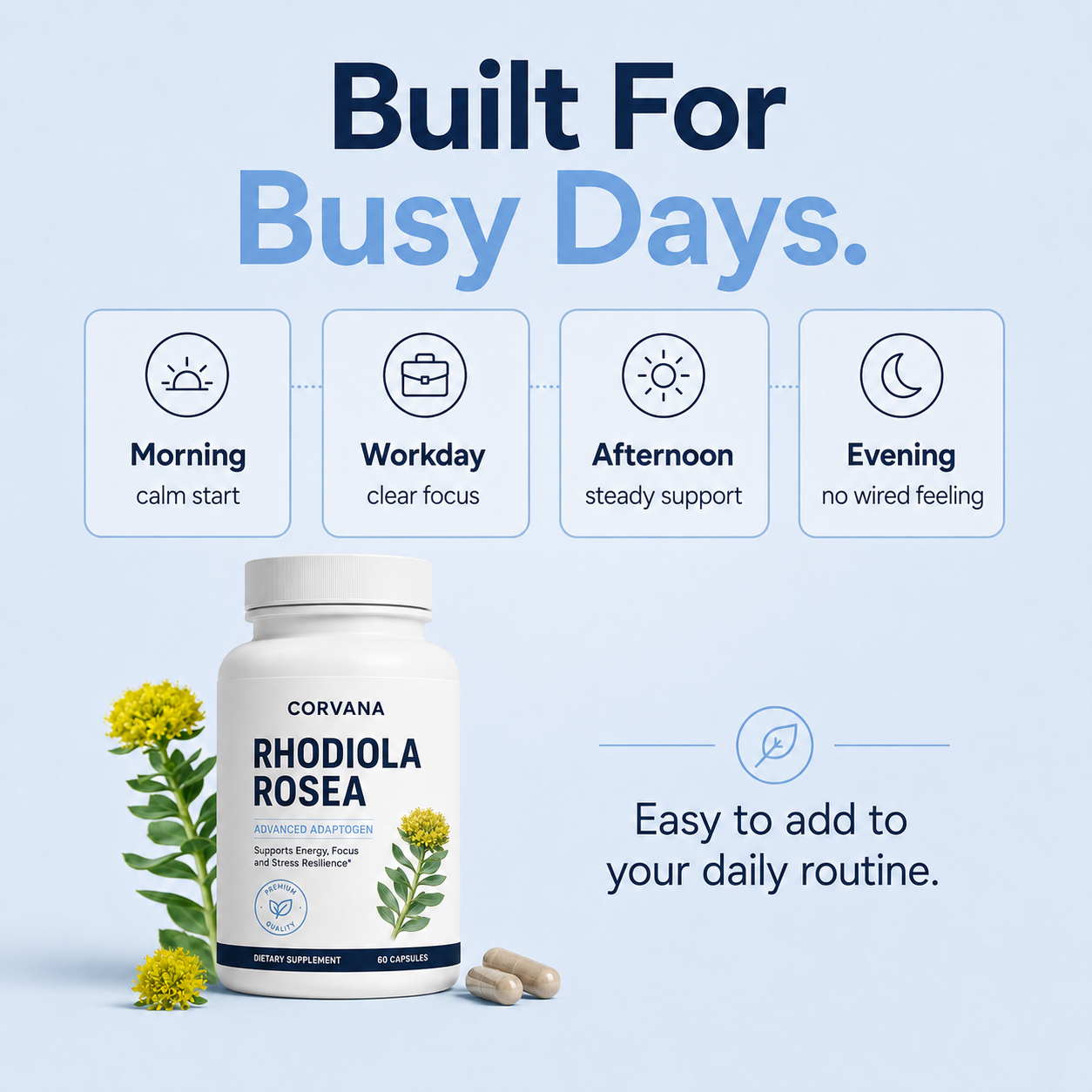 Corvana™ Rhodiola Rosea