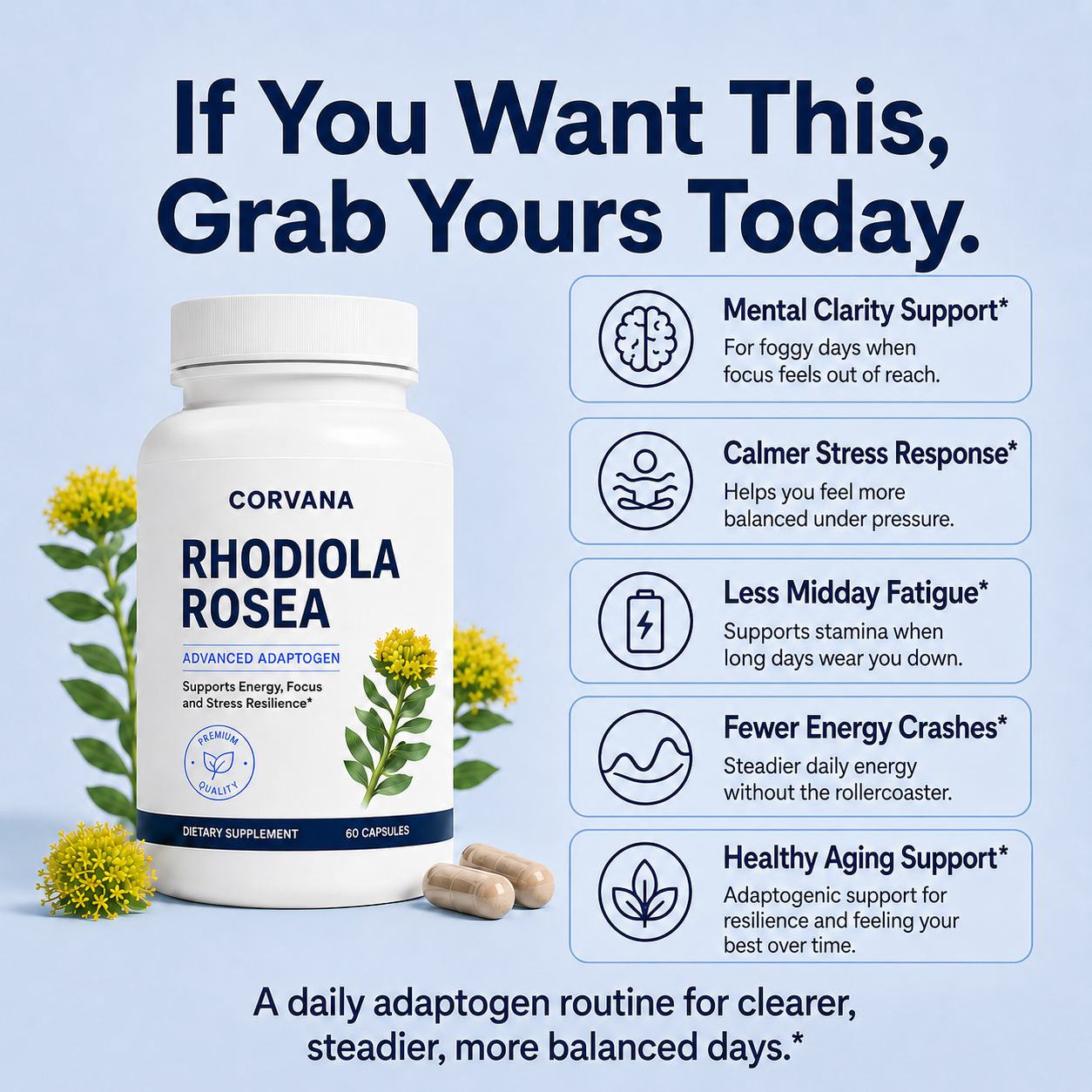 Corvana™ Rhodiola Rosea